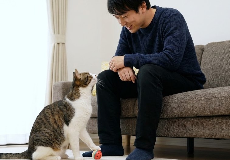 猫がおもちゃを持ってくる姿が犬みたいに見える理由