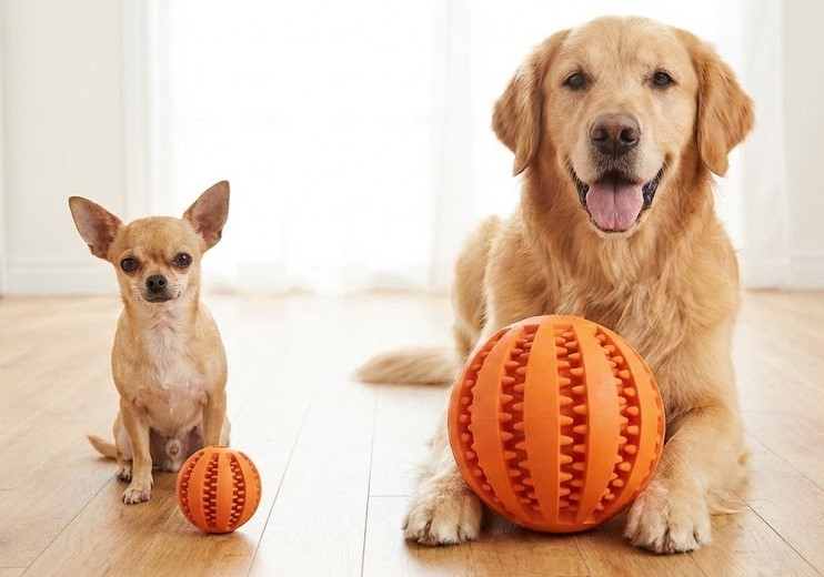 誤飲事故を防ぐために愛犬に適したサイズを選ぶ方法