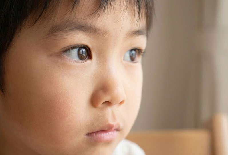 くるくる回るおもちゃと自閉症児の視覚追求に隠された謎